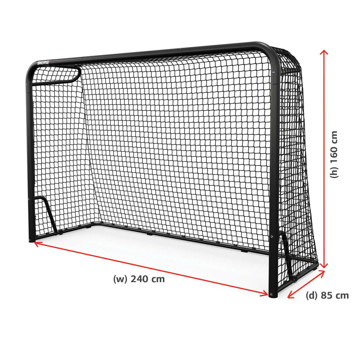 BERG SportsGoal M