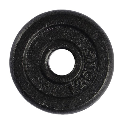 VirtuFit Støbejernsvægtskive 1,25 kg 30 mm